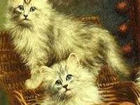 Gioco Gatti Cattivi