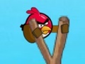     .      Angry Bird Counter Attack.     