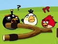       .      Angry Birds Go Crazy.       
